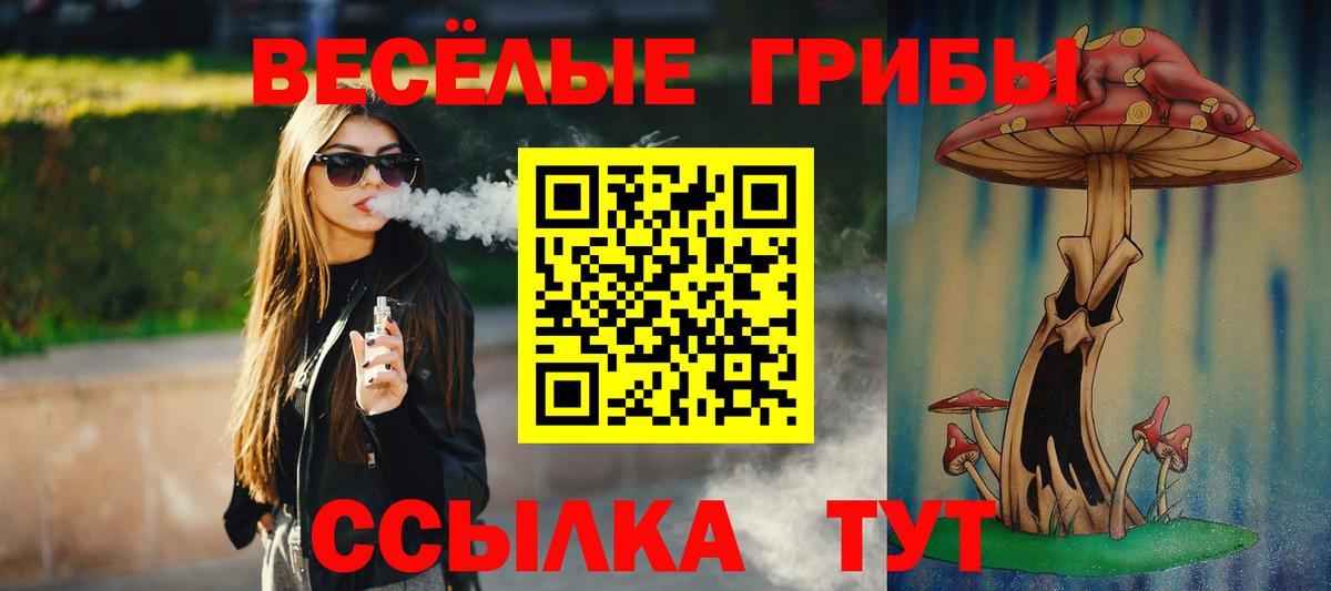 Псилоцибиновые грибы Magic Shrooms  Псилоцибиновые грибы Magic Shrooms  Вход с VPN  Каспийск 
